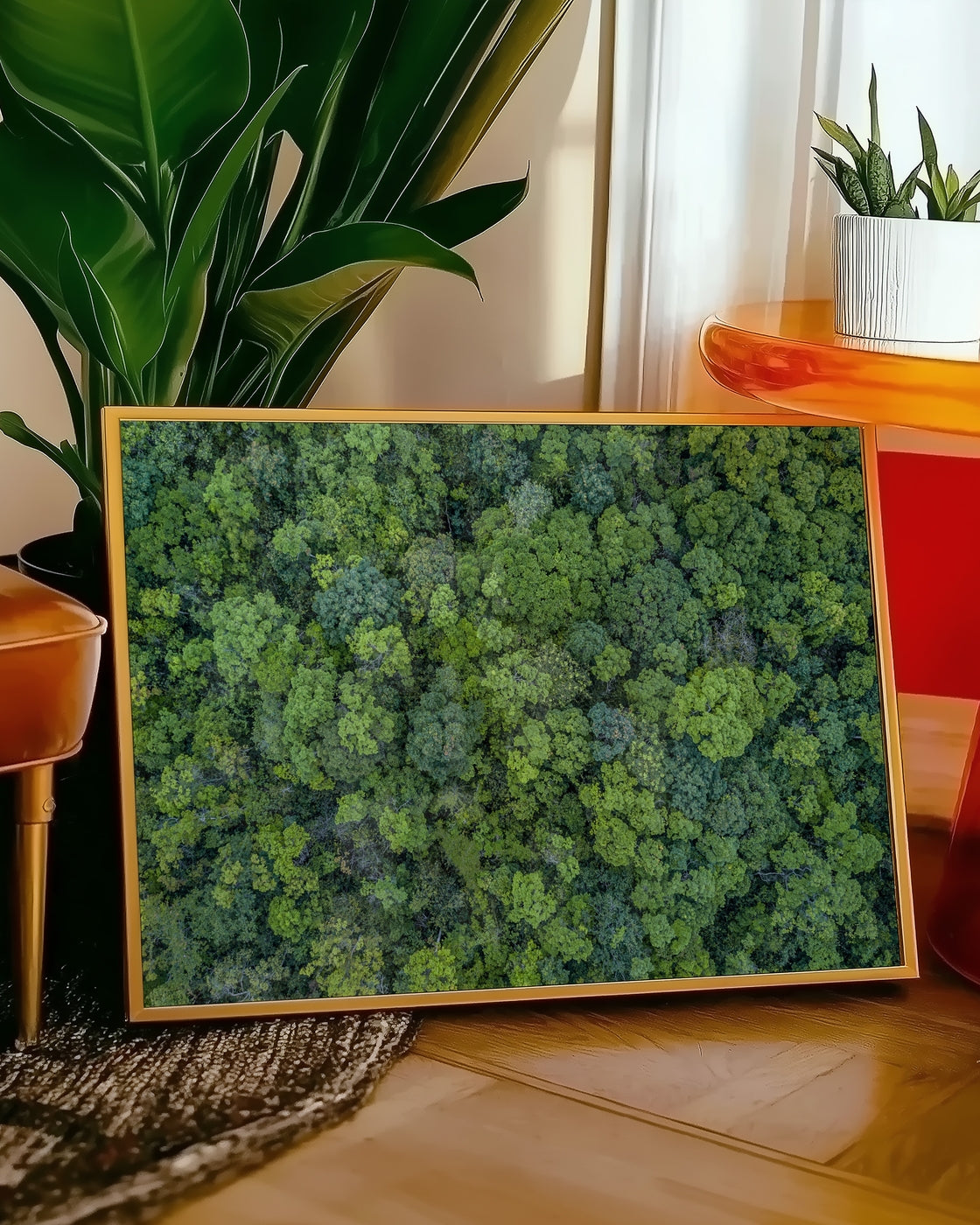 canvas