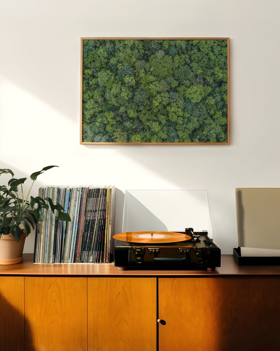 canvas