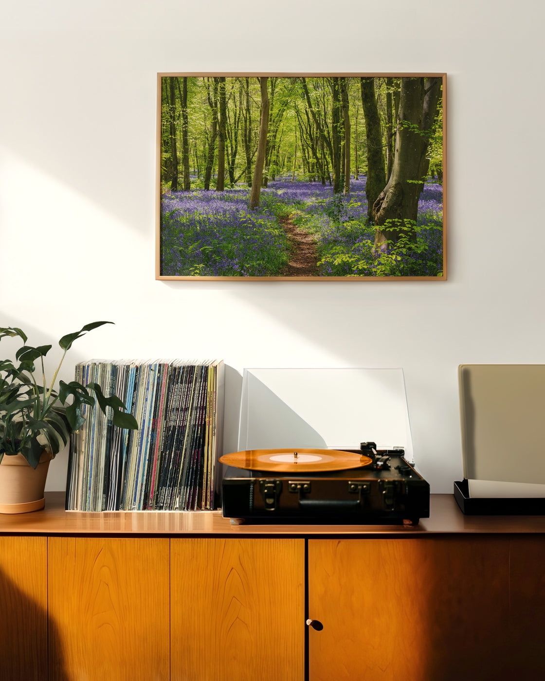 canvas