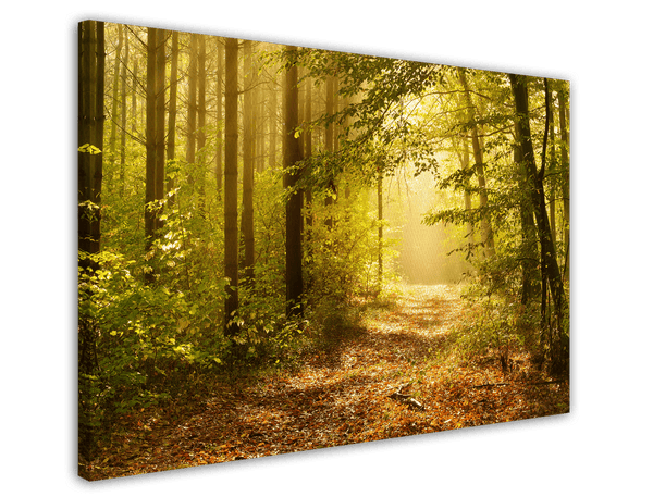 Wald
