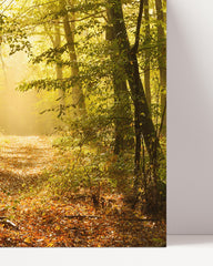 After Hover: Wald
