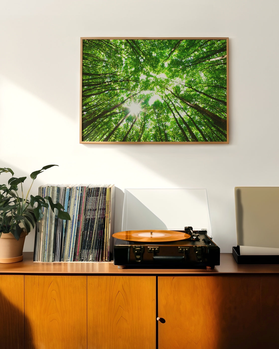 canvas