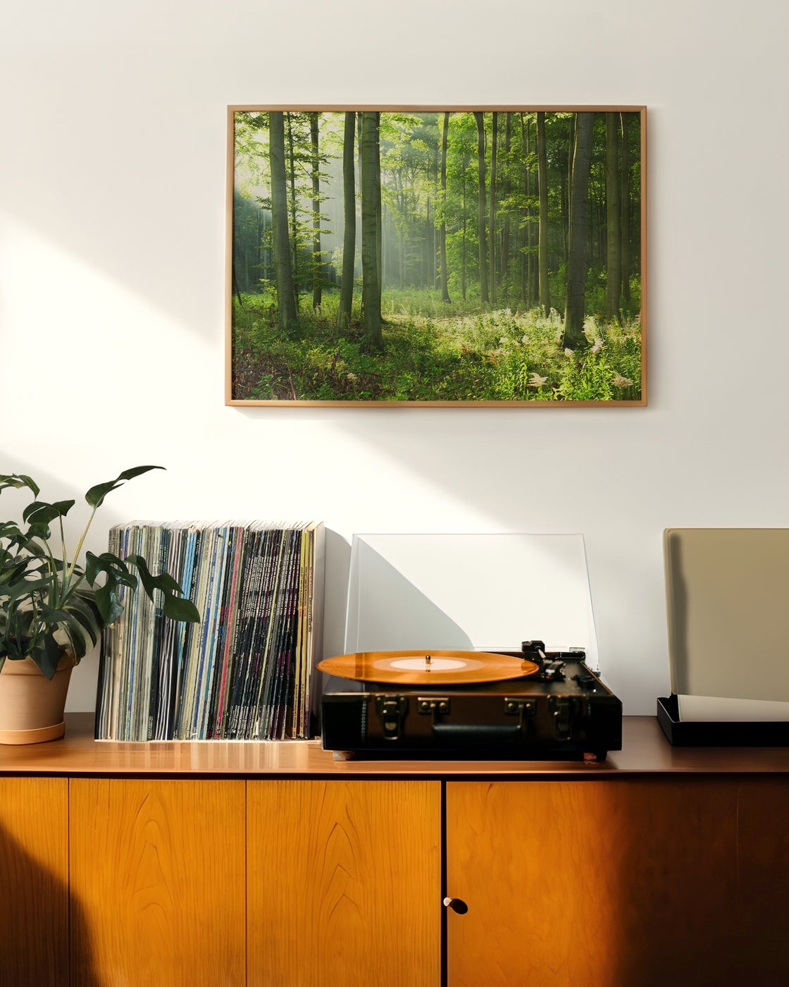 canvas
