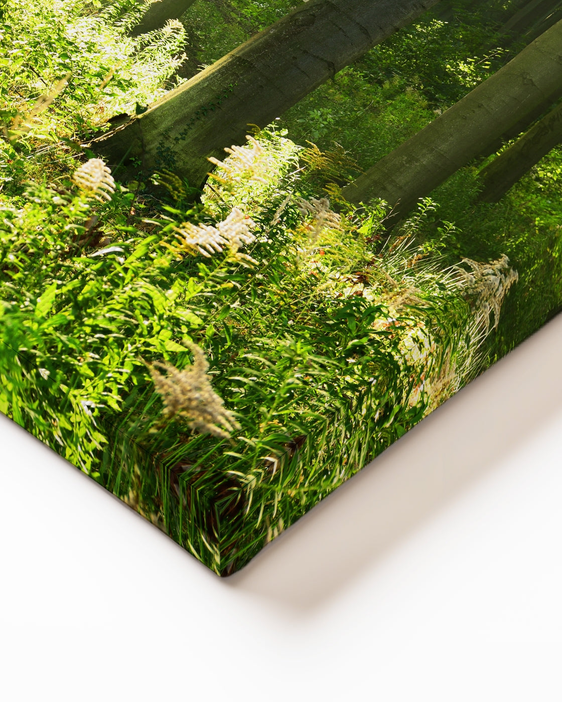 stretched-canvas