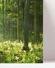 After Hover: Wald-Landschaft