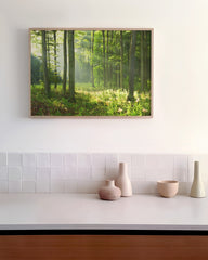 After Hover: Wald-Landschaft