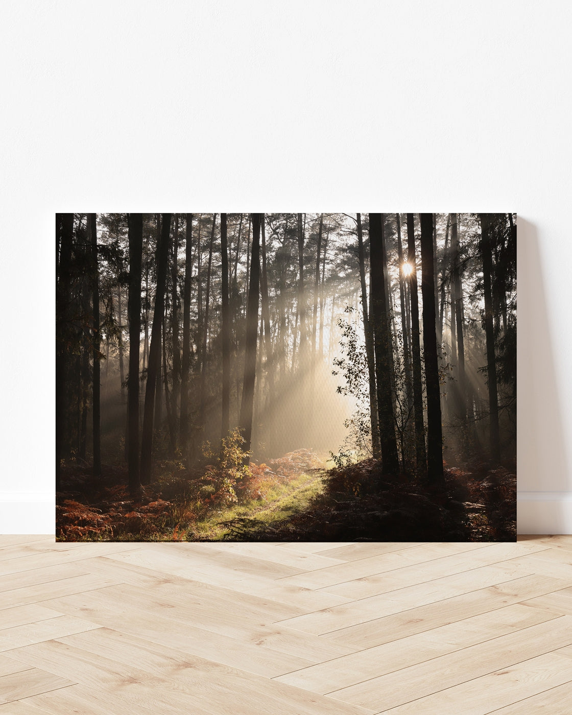 stretched-canvas