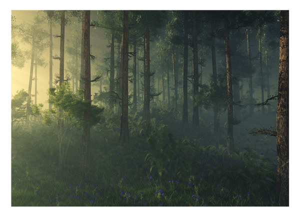 Wald