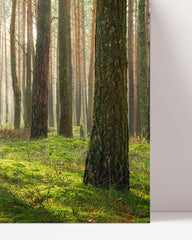 After Hover: Wald
