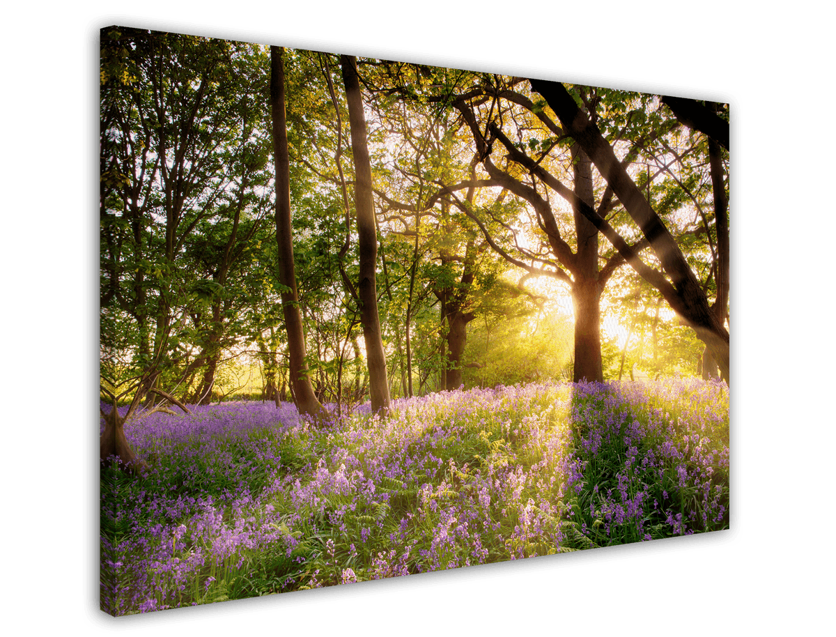 stretched-canvas