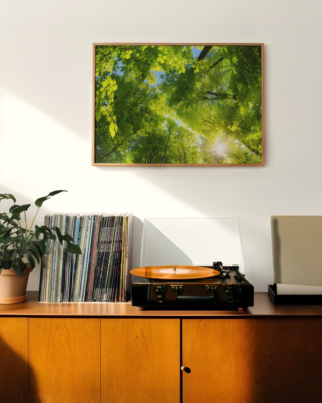 canvas