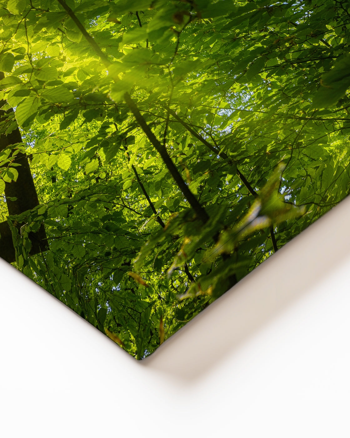 stretched-canvas