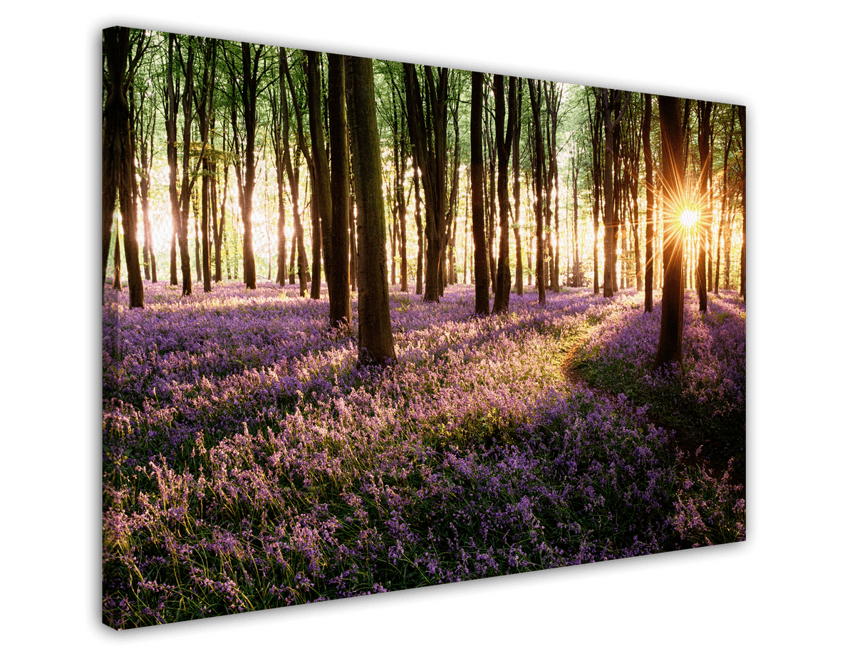 stretched-canvas