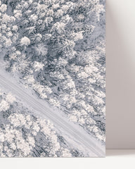After Hover: Waldkronen im Winter