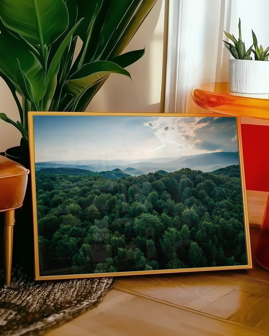 canvas