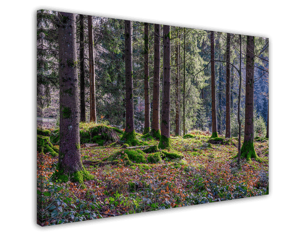 Wald