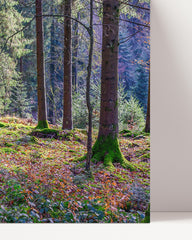 After Hover: Wald