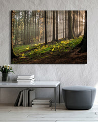 After Hover: Wald