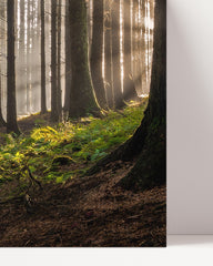 After Hover: Wald