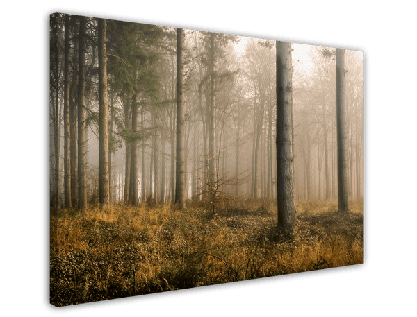 Wald