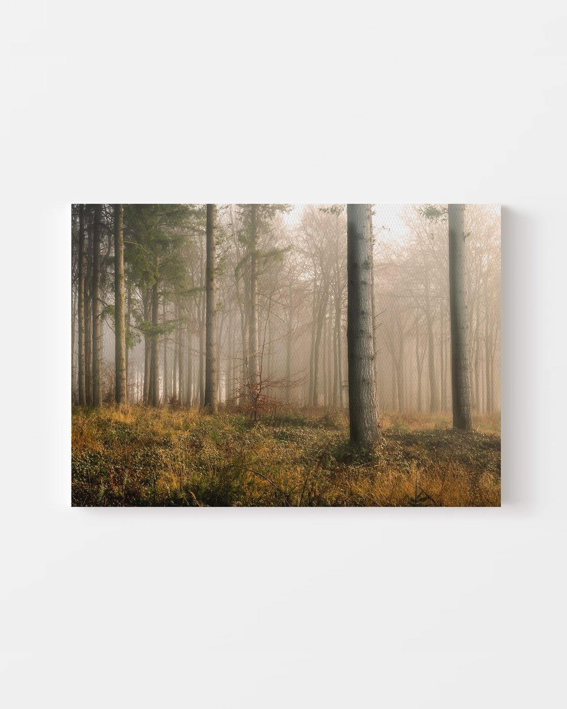 stretched-canvas