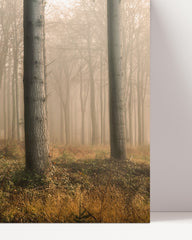 After Hover: Wald