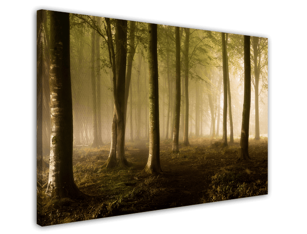 Wald