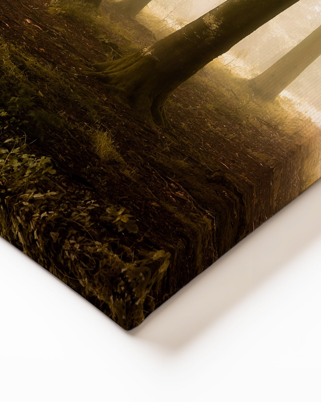 stretched-canvas