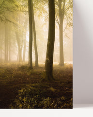 After Hover: Wald