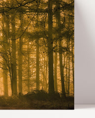 After Hover: Wald