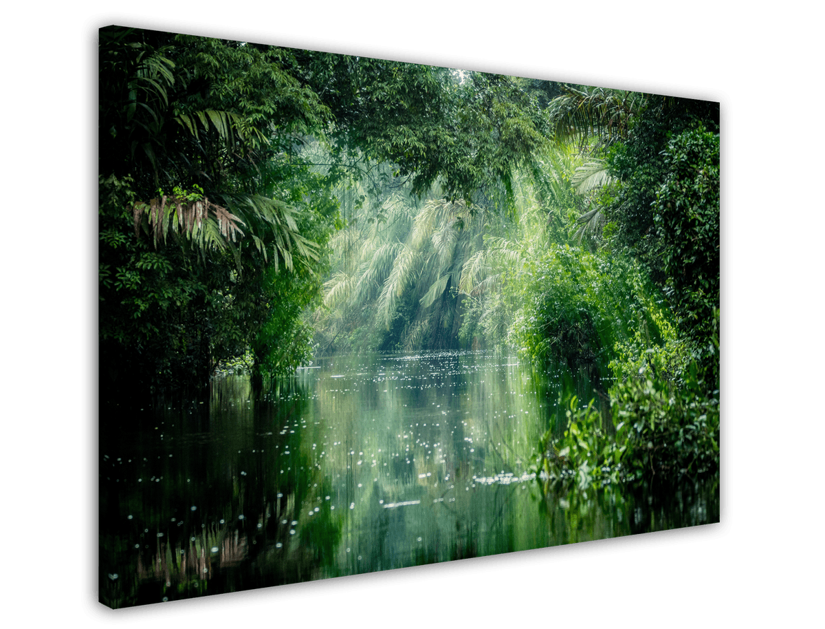 stretched-canvas