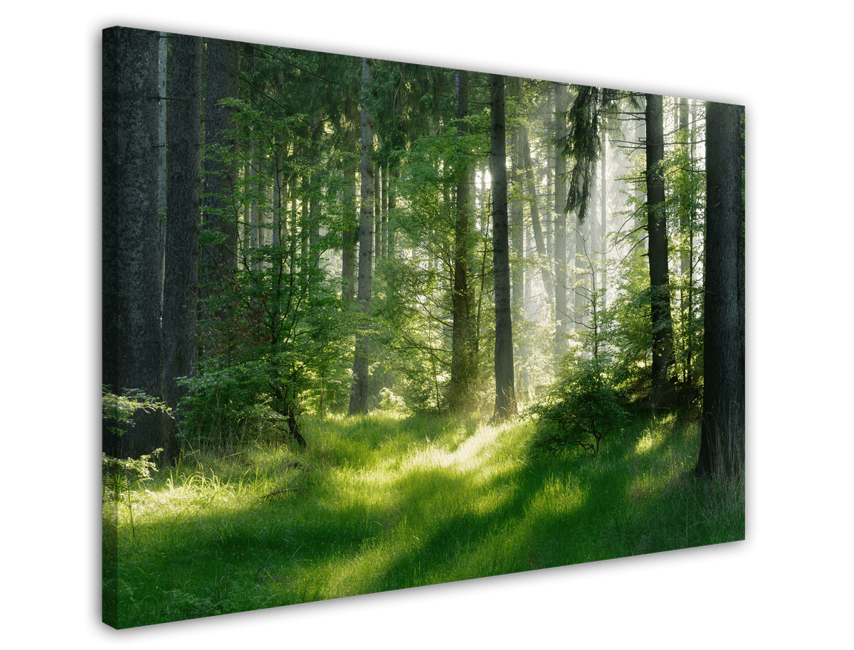 stretched-canvas