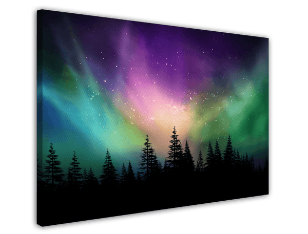 Polarlichter über Waldkronen
