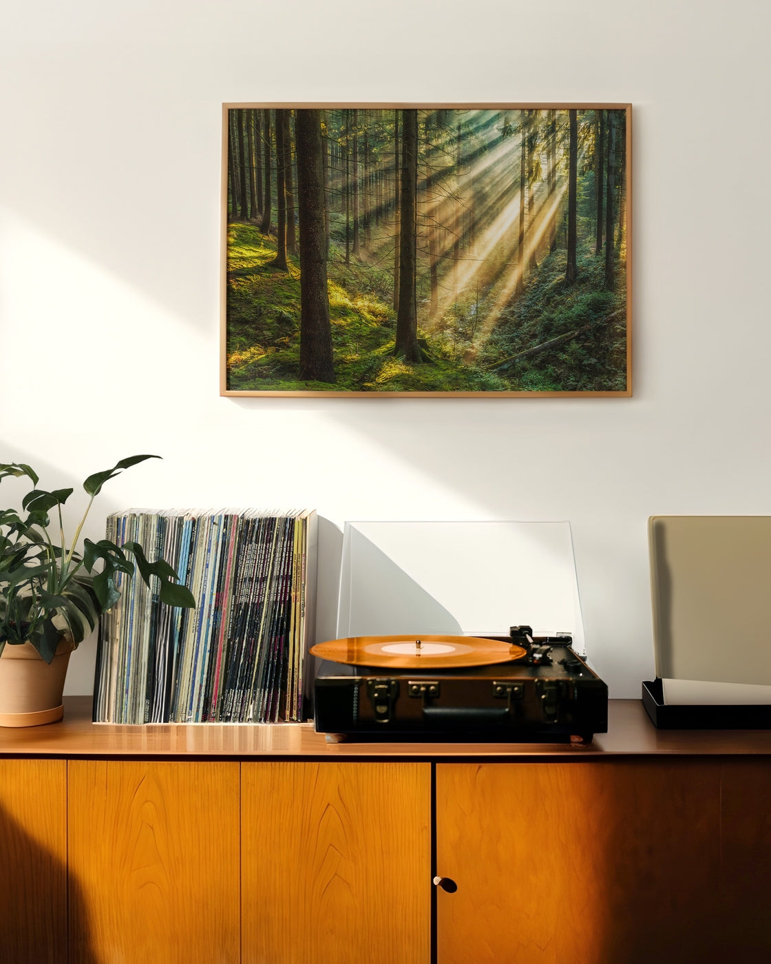 canvas