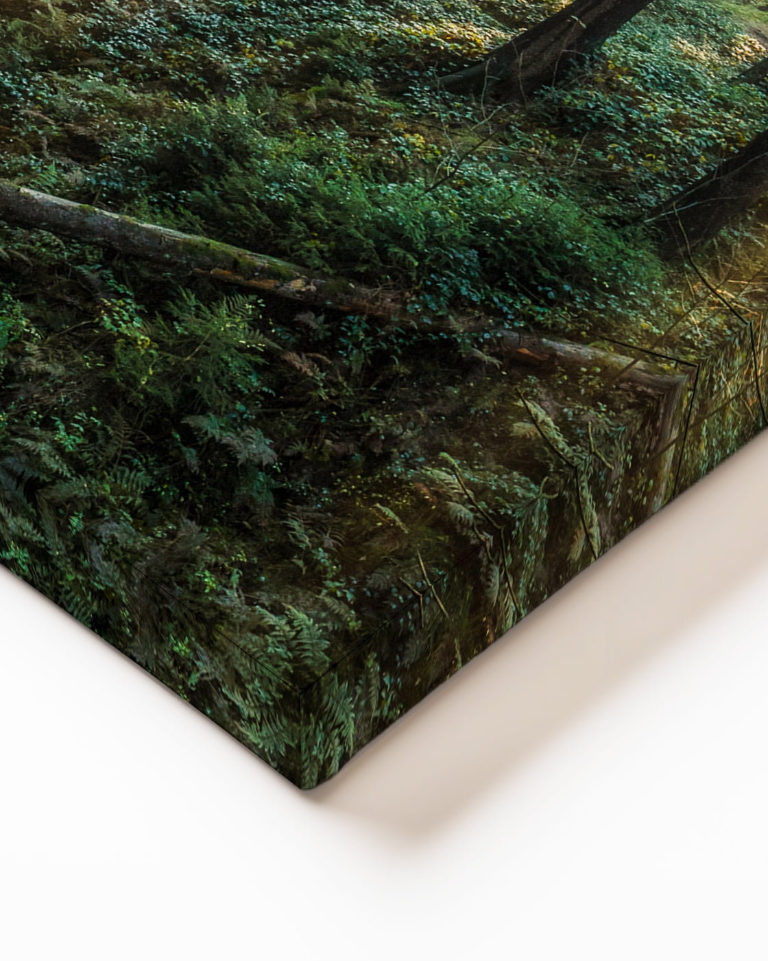 stretched-canvas