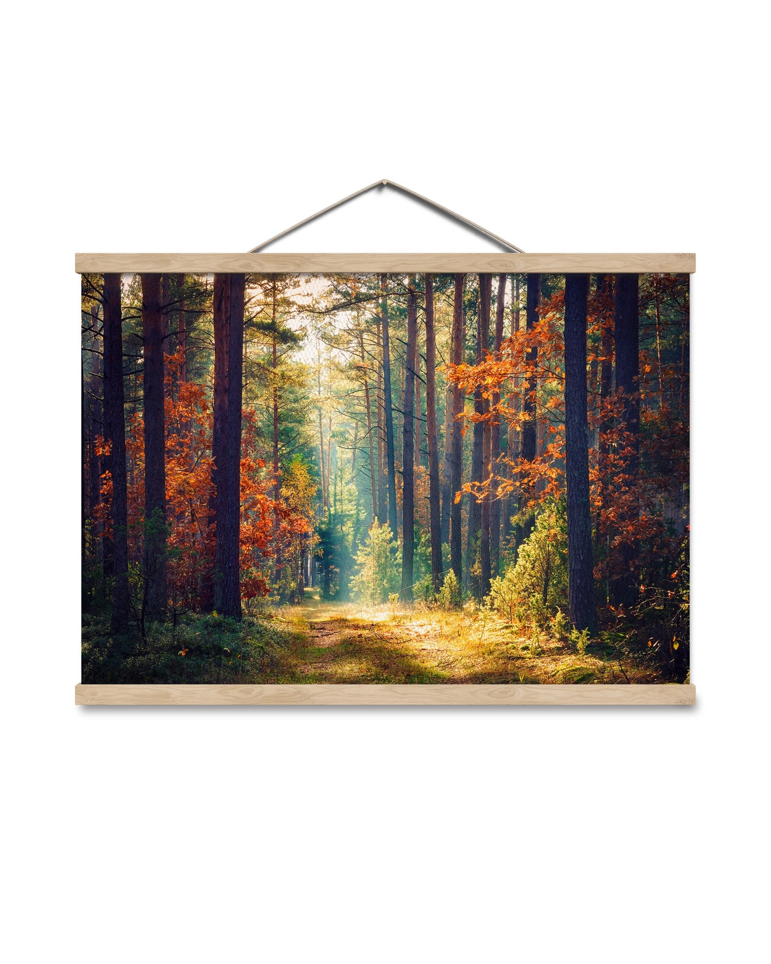 canvas