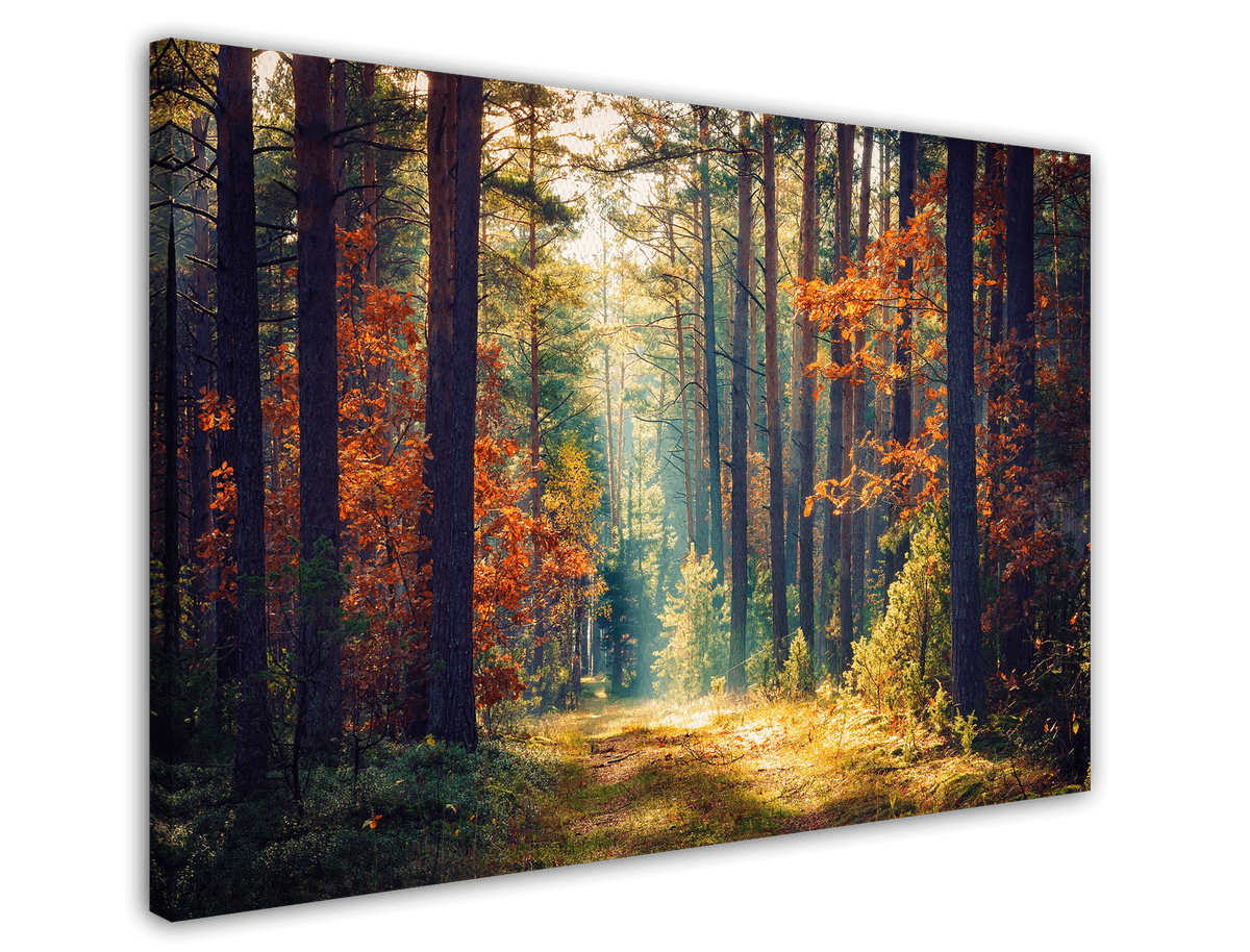 stretched-canvas
