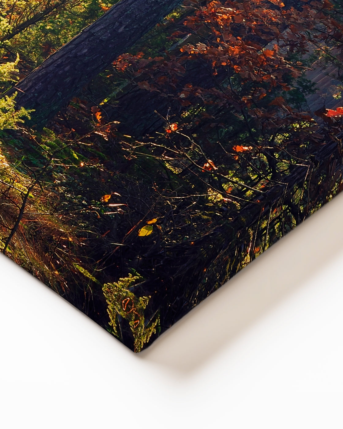 stretched-canvas