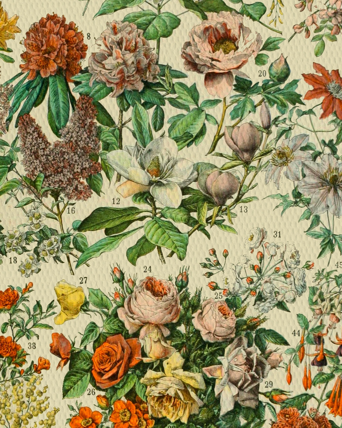 canvas