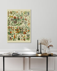 After Hover: Adolphe Philippe Millot - Vintage Blumen-Übersicht