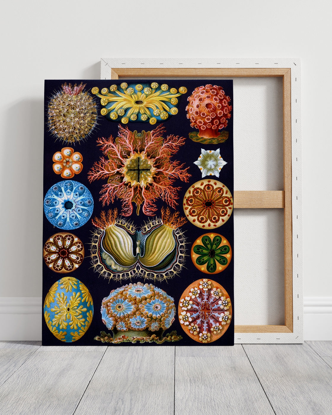 stretched-canvas