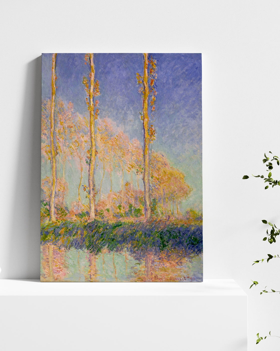 stretched-canvas