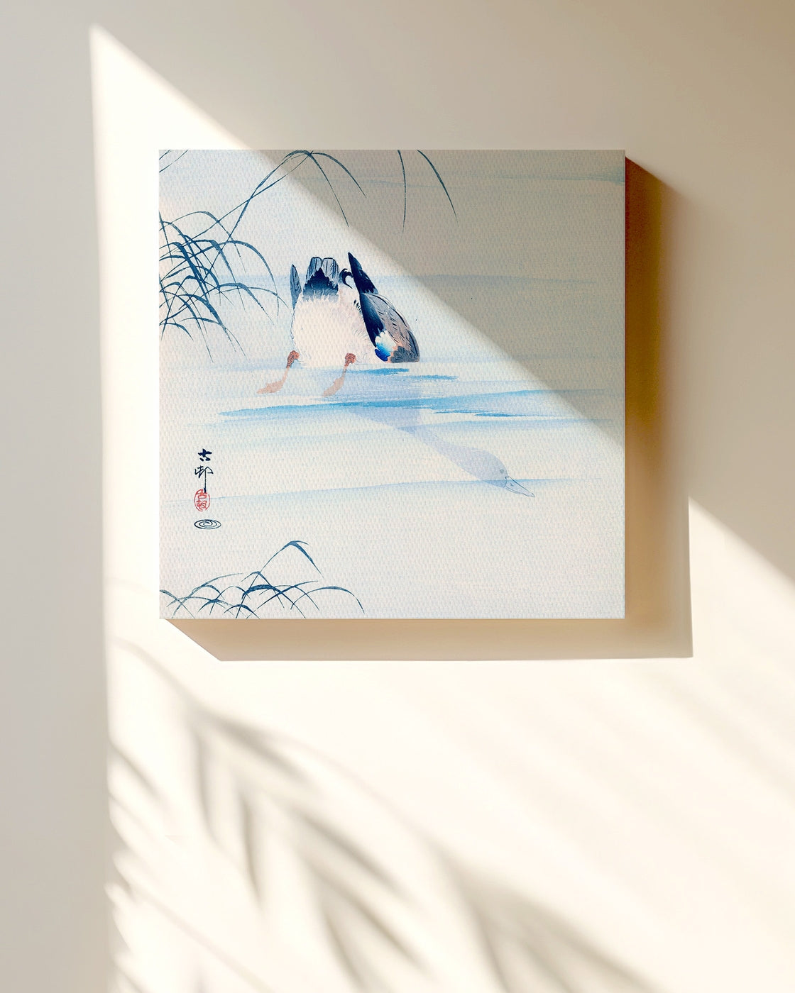 stretched-canvas
