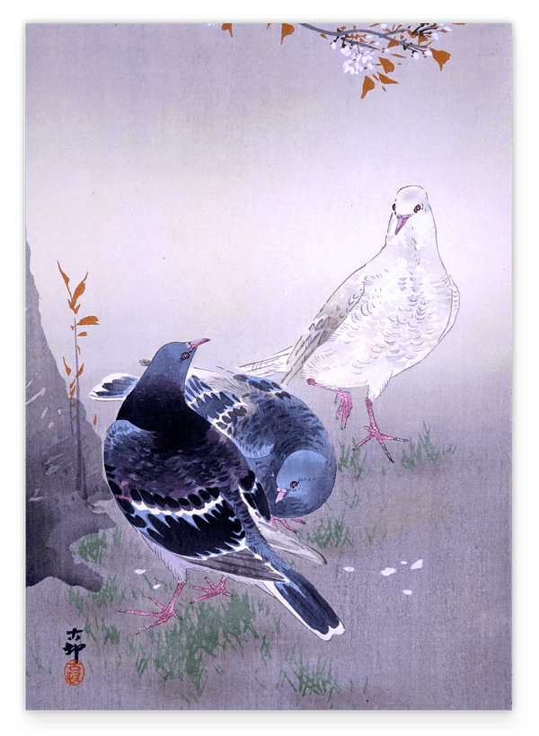 Ohara Koson - Tauben am Kirschblütenbaum