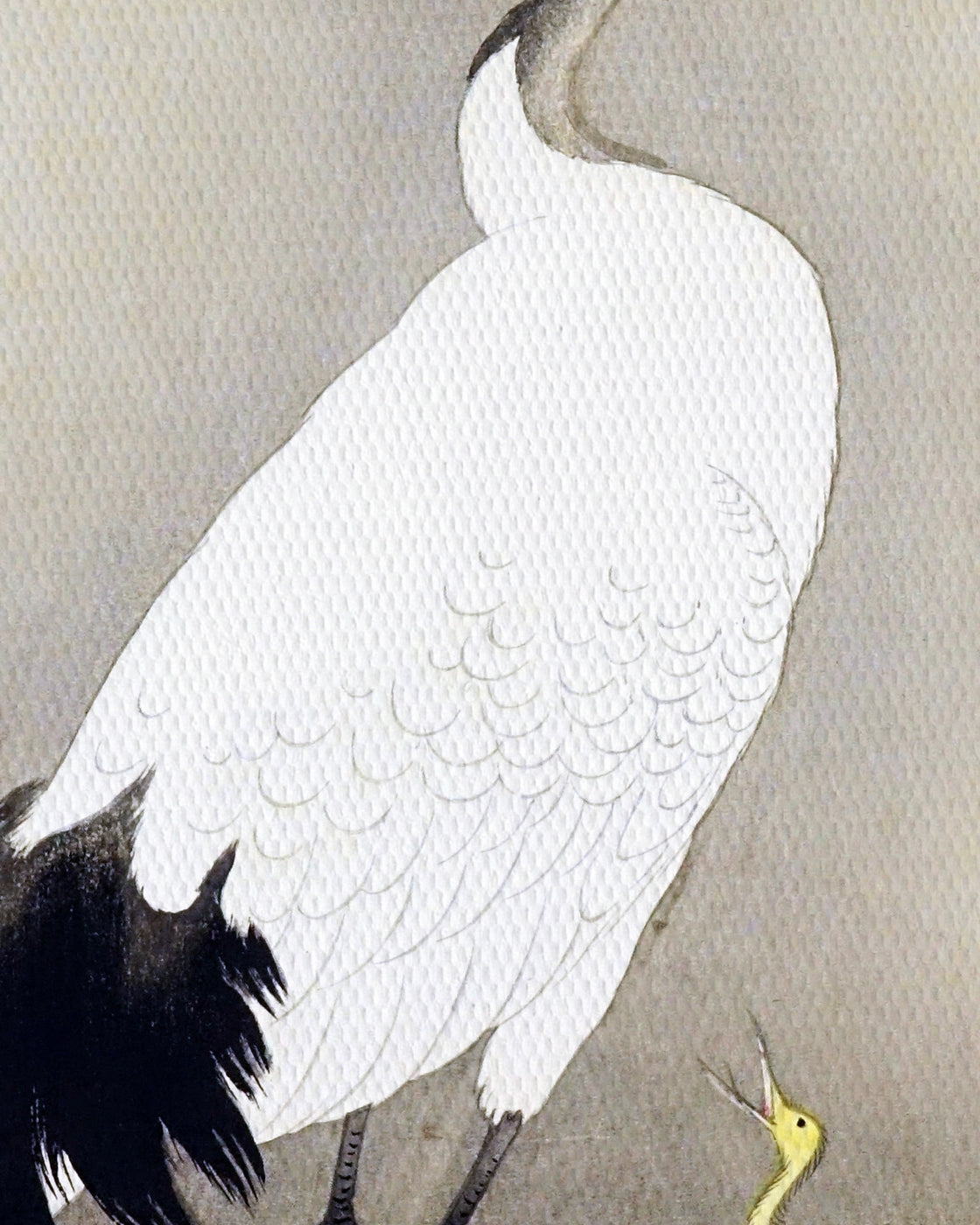 canvas