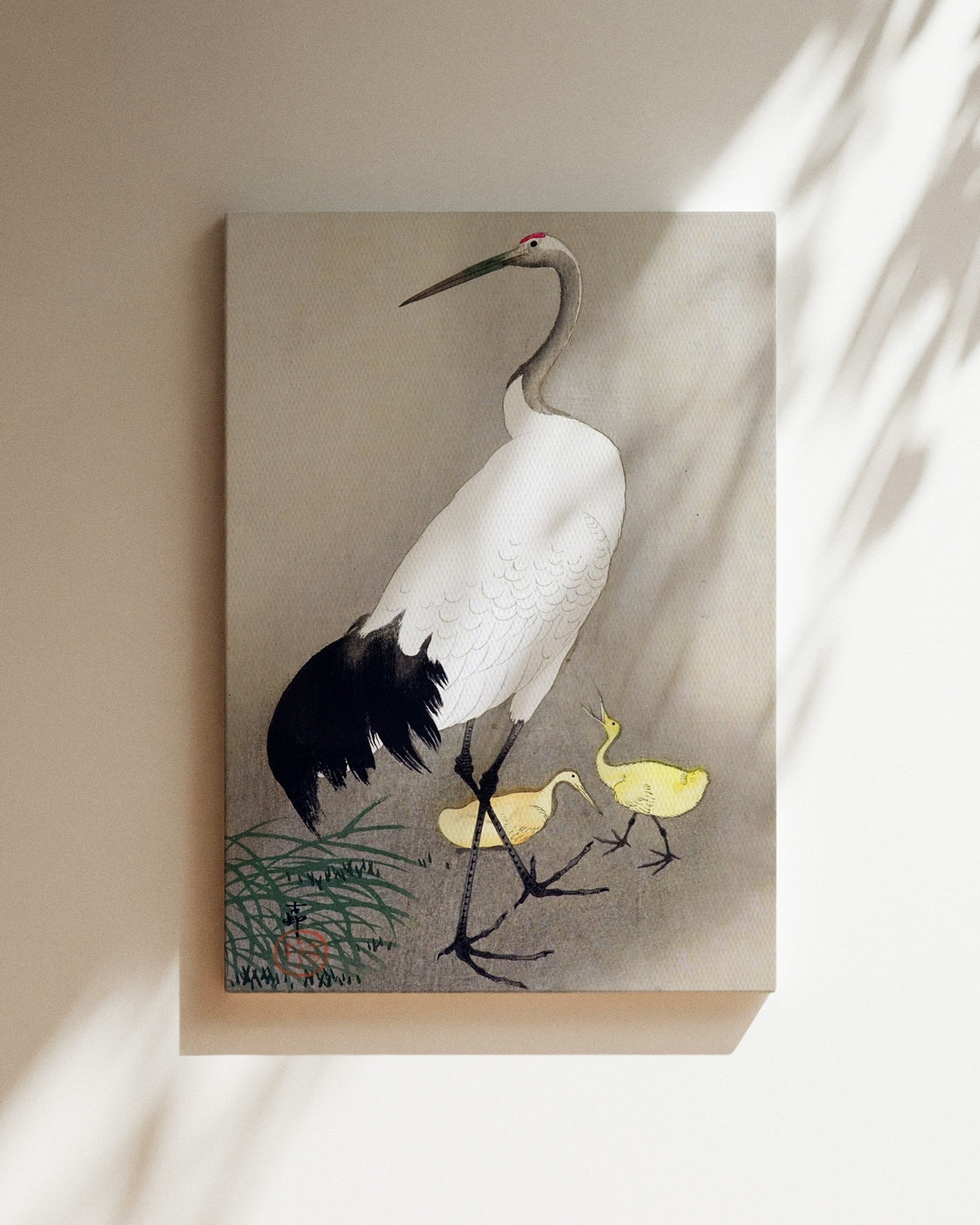 stretched-canvas