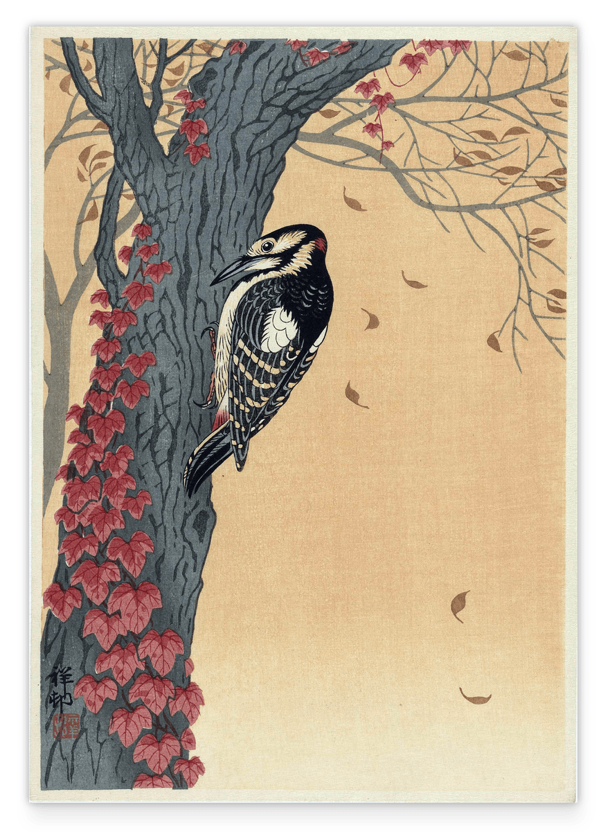 Ohara Koson - Specht am Baum