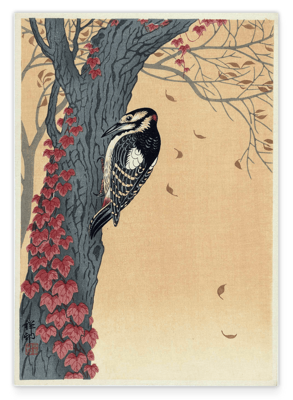 Ohara Koson - Specht am Baum