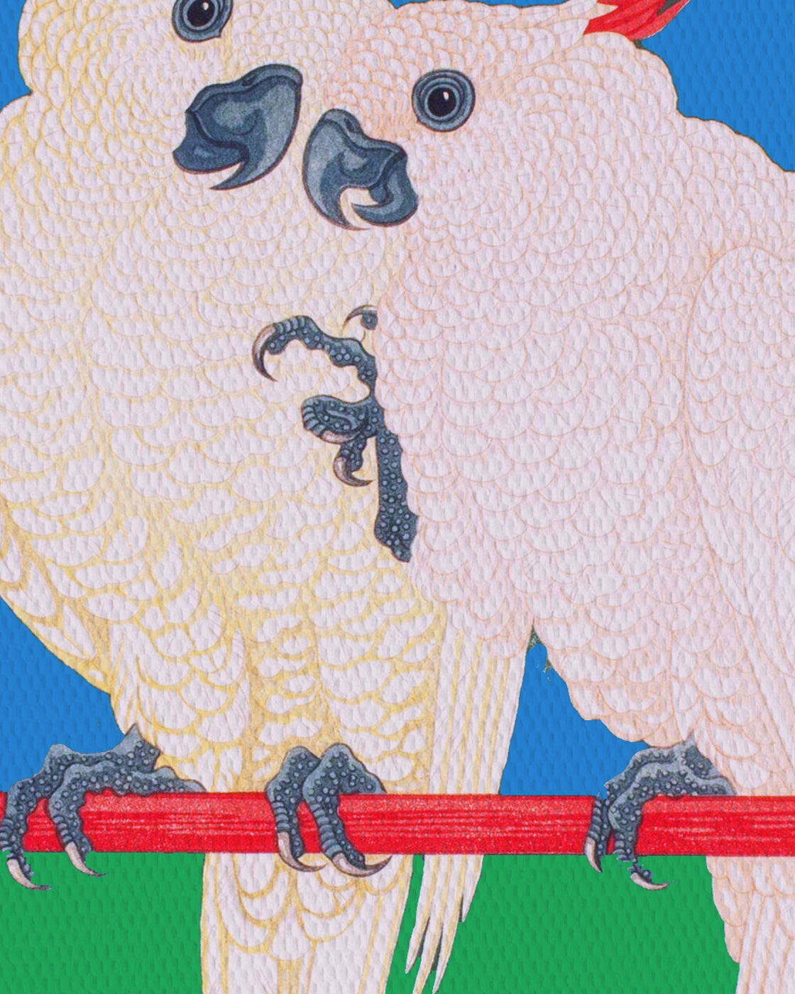 canvas