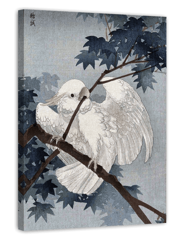 Ohara Koson - Kakadu auf Ast